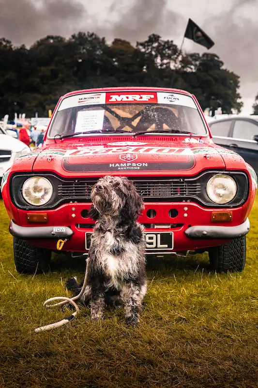 Ford Escort Mexico rally car with dog at Hampson Auctions stand